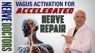 Vagus Activation for Accelerated Nerve Repair - The Nerve Doctors
