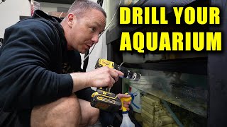 HOW TO DRILL AN AQUARIUM FILLED WITH WATER FOR BULKHEAD, FISH TANK SUMP AND PLUMBING