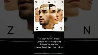 Trampoline - SHAED &amp; Zayn
