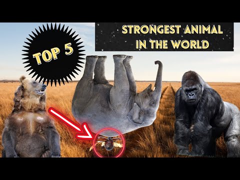most powerful animals in the world last one unbelievable. top 5