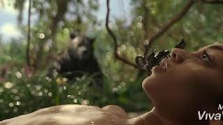 ''baloo what happened to your tail " | MOWGLI