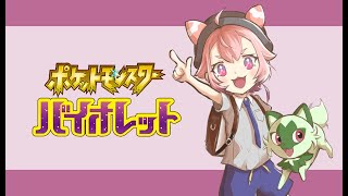 【ポケモンSV】 あさポケモン！あサンドイッチ！！！うしみいちごもいっしょに！ぼうけん！