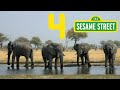 4 ELEPHANTS From Sesame Street Children S Music Video By Dia All Day