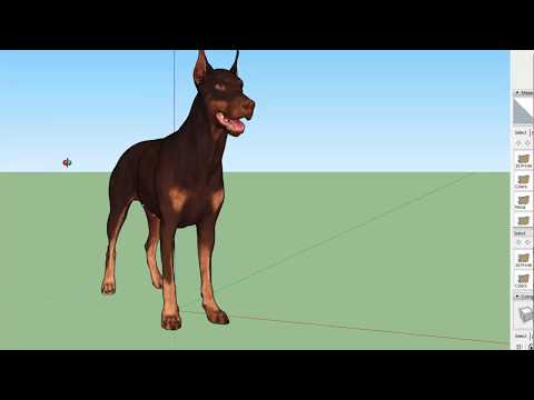 Doberman Studios 3d