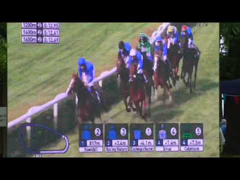 Pferderennbahn Berlin Hoppegarten /Großer Preis von Berlin