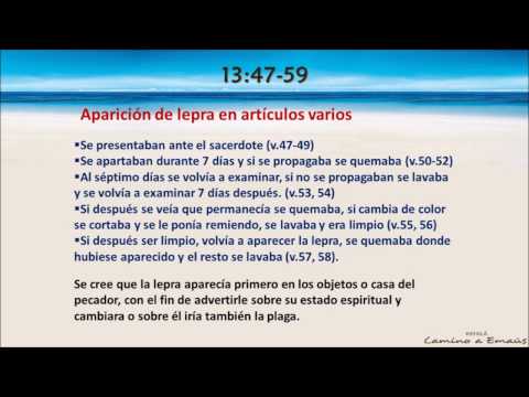 Levitico 13:47 - 14:32 'Yeshua nuestra purificación de la lepra'