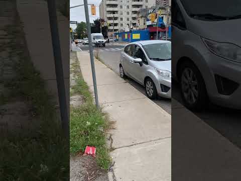 Rules in walking a dog in Canada