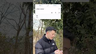 Download lagu “Older sister” in Japanese #japan #japanese #learnjapanese mp3