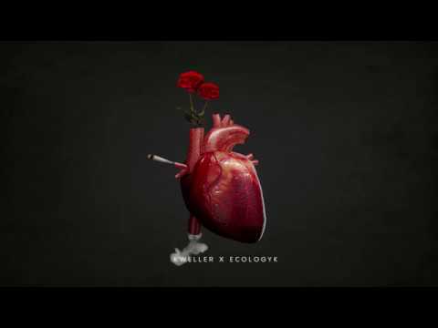 kweller x ecologyk - s2