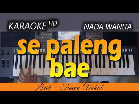 Karaoke PALENG BAE | Nada Wanita