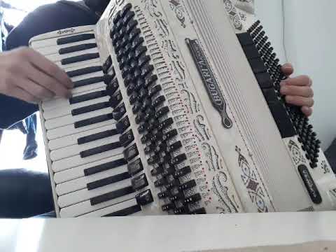 Accordion acordeon Armando Bugari 120 bajos