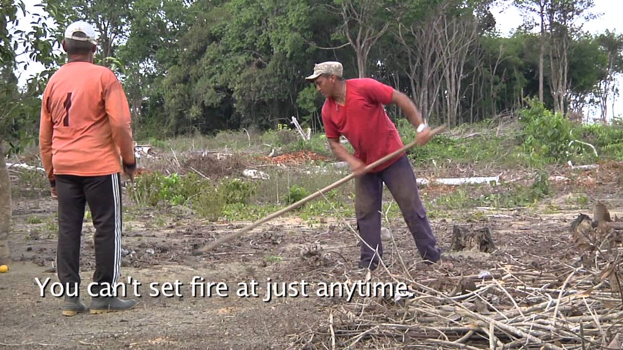 Slash & Burn | Part 2: How Amazonian farmers manage fire