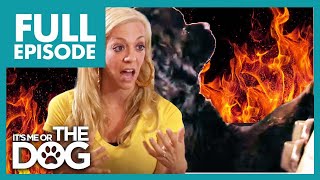 Thumbnail del capítulo