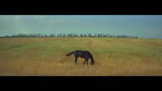 Mumford and sons - Ditmas (subtitulada español)