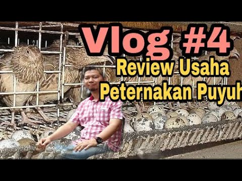 Gadis di bawah pengaruh video exciter Aktivator efektif untuk wanita