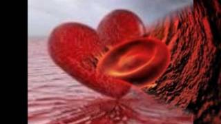 &quot;Soos Bloed&quot; Theuns Jordaan