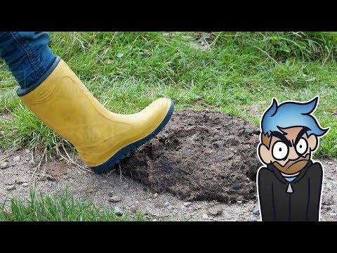 r/quityourbullsh*t Top Posts of All Time