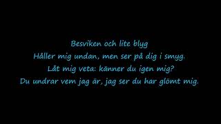 Den Julen Lyrics (Last Christmas Swedish)