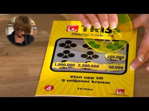 Eva skrapar triss: "Det blir ingen häst" - Nyhetsmorgon (TV4)