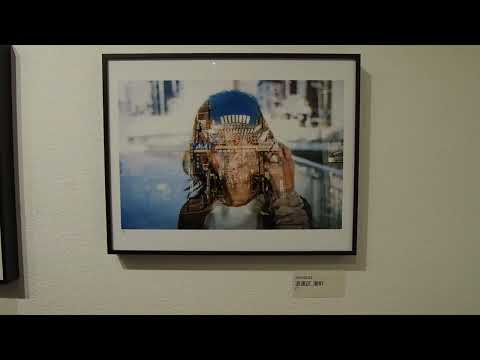 mur-végétal-extérieur-nombreuses-espèces-plantes-Milan