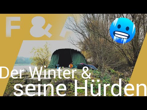 angeln im Winter (auf Wels & Feeder) am Hauptstrom ist nicht einfach! Geduld & Motivation WICHTIG!