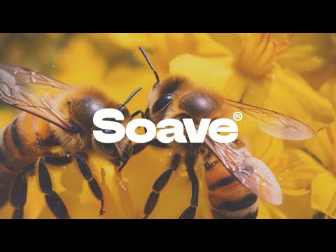 Gianluca Dimeo & Coppermines - Honey