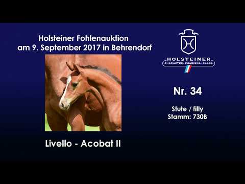 Nr. 34 v. Livello - Acobat II
