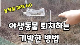 야생동물 퇴치하는 기발한 방법!(맷돼지,고라니,참새) #맷돼지퇴치하는방법 #고라니퇴치하는방법  #참새퇴치하는…