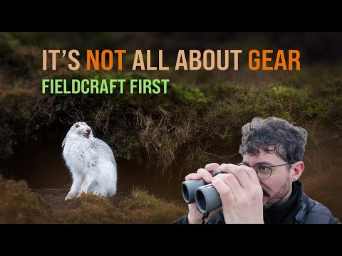 Why Fieldcraft (Not Your Camera) Is Key to Wildlife Photography
