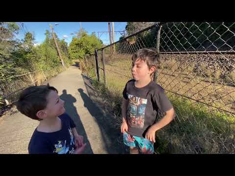 SSR Diesel Locomotives hauling coal cars - Springwood NSW.