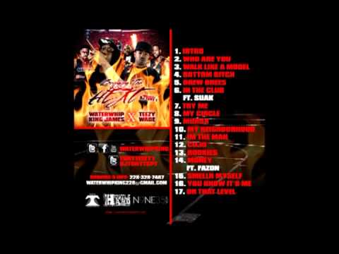 Bringing the Heat mixtape hosted by Dj Tony T (FULL VERSION)
