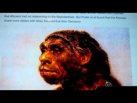 Neanderthals: DNA that Cro Magnons spread 2of 2 2020