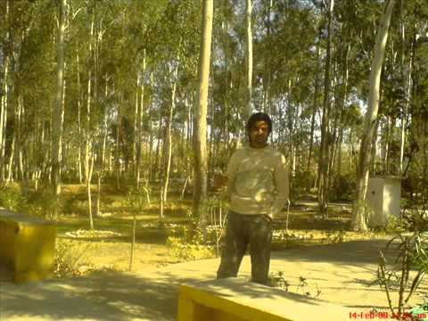 kulvir singh gal lag ke MP4