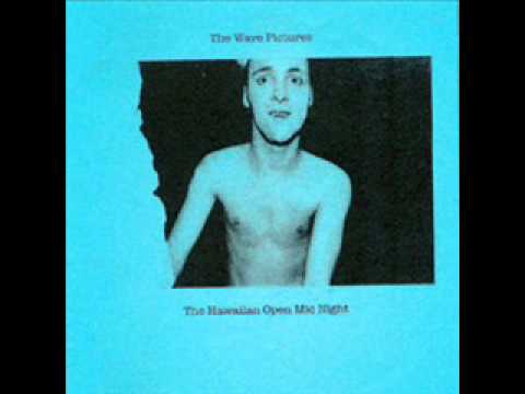 Your Heart Is on Your Sleeve - The Wave Pictures