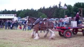 preview picture of video 'Heavy Horses Vintage Agricultural Machinery Club Rally Strathmiglo Fife Scotland'