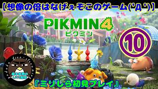 【想像の倍はなげぇぞこのゲーム('Д')】ピクミン4　10日目【喋る夜鷹の実況プレイ】