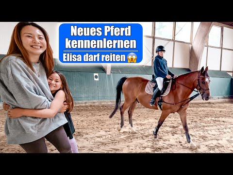 Eigenes Pferd für Clara 😍 Elisa reitet zum 1. Mal! Neues Pferd & Alltag auf Reiterhof! Mamiseelen