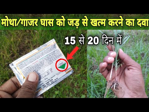 Dhanuka Sempra Herbicide