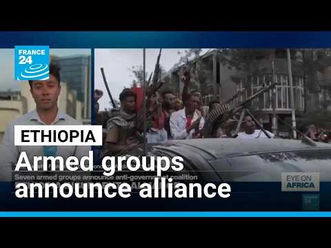 Ethiopian armed groups announce anti-government alliance