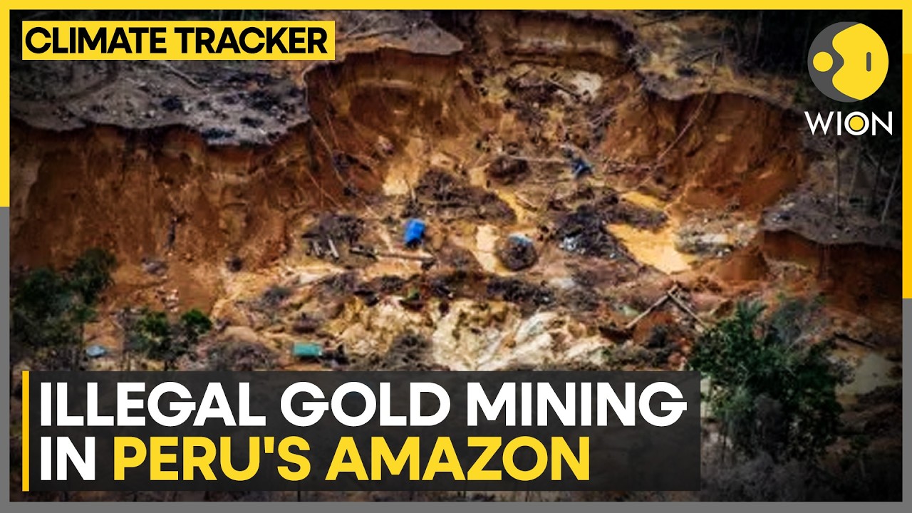 Peru Gold Mining: Illegal Mining Spreads Across Amazon Rainforest | WION Climate Tracker