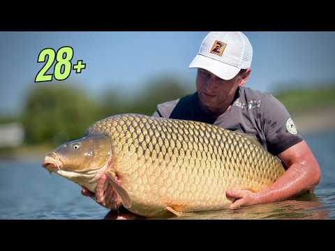 Adio, Lac CETARIU? O POVESTE de PESCUIT la CRAP de pe balta mea de SUFLET