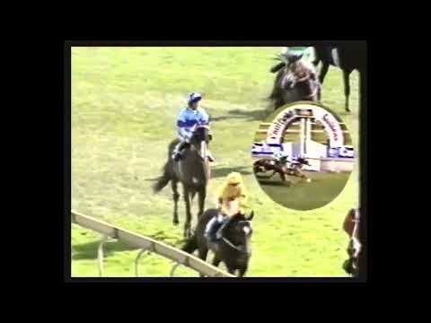 Chortle 1991 Caulfield Guineas