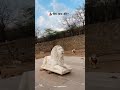 चौथ माता मंदिर बूंदी ️ Youtubeshorts Bundivlog Shortsfeed Ytshor