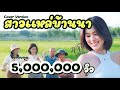 สาวแหล่บ้านนา หนิง ปัทมา Cover Version Original วั�