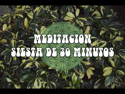 Meditación Guiada | Siesta de 30 Minutos