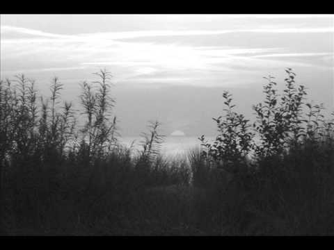 Zareck Mc Guinness - The sound of Zareck