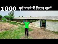 1000 Chicken Farming Cost