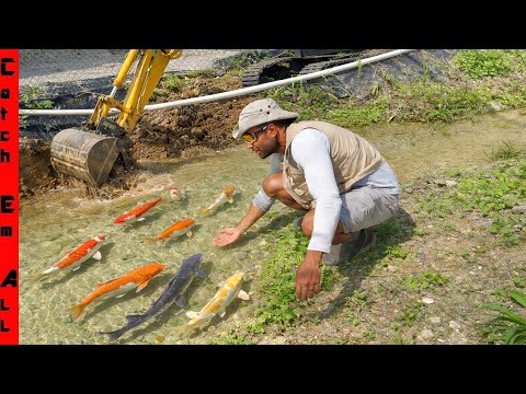 We FOUND Exotic FISH STUCK LIVING in the CONSTRUCTION SITE!
