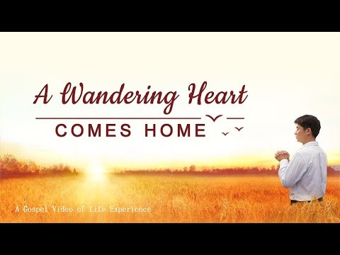 Witness21 Editor  2017 11 20