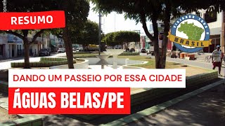 preview picture of video 'Viajando Todo o Brasil - Águas Belas/PE'